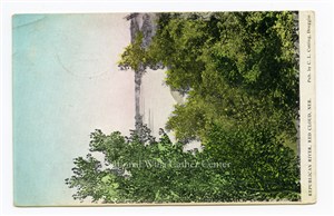 Image description is not available for PHO-264-598